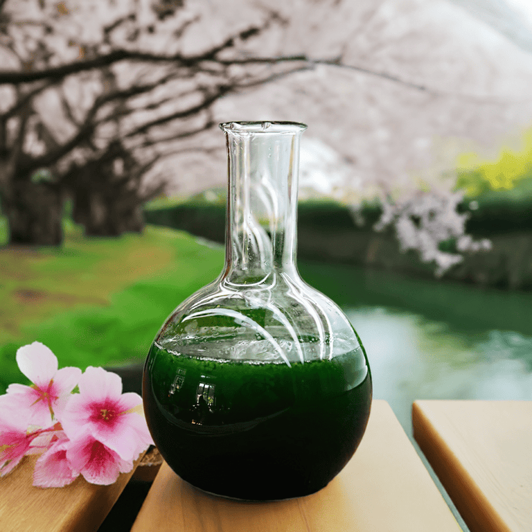 spirulina sample