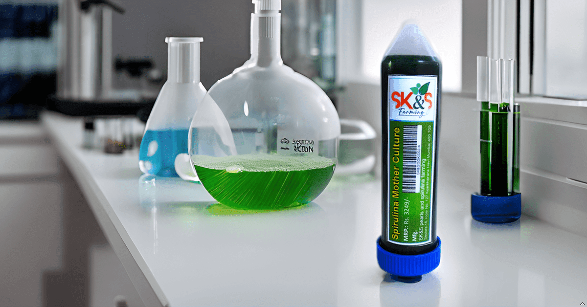 Unleash the Power of Nature's Superfood: Spirulina Cultivation Made Easy 🌱 - SK&S Farming