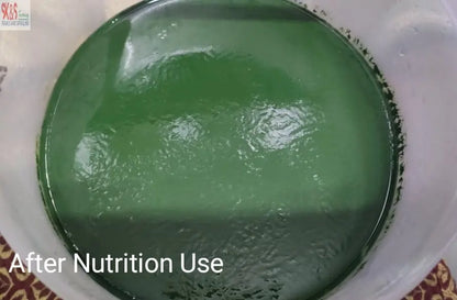 Spirulina Fertilizer | Spirulina growing Nutrition | fertilizer for spirulina cultivation SK&S Farming
