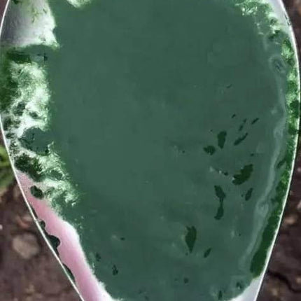 spirulina plant fertilizer Spirulina Fertilizer – Optimize Algae Growth