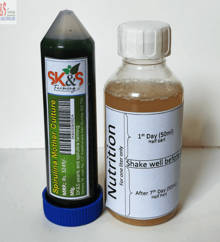 Spirulina Mother Culture Kit – Live Blue-Green Algae (200ml) | Grow Your Own Spirulina at Home - SK&S Farming