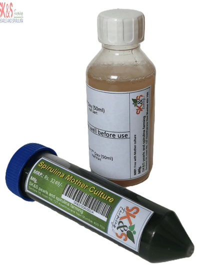 Spirulina Mother Culture Kit – Live Blue-Green Algae (200ml) | Grow Your Own Spirulina at Home - SK&S Farming