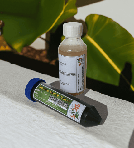 Spirulina Mother Culture Kit – Live Spirulina Algae Seeds for Farming (200ml, 15 Days Support) - SK&S Farming