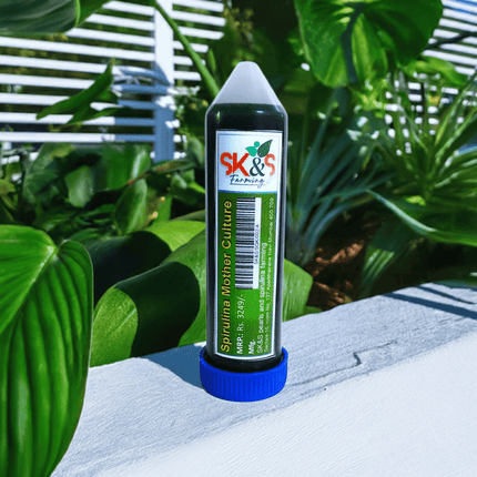 Spirulina Mother Culture Kit – Live Spirulina Algae Seeds for Farming (200ml, 15 Days Support) - SK&S Farming