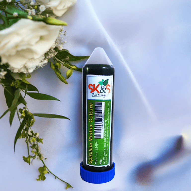 Spirulina mother culture kit