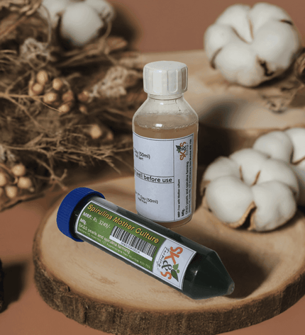 Spirulina Mother Culture Kit – Live Blue-Green Algae (200ml) | Grow Your Own Spirulina at Home - SK&S Farming