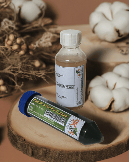 Spirulina Mother Culture Kit – Live Blue-Green Algae (200ml) | Grow Your Own Spirulina at Home - SK&S Farming