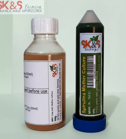 Spirulina Mother Culture Kit – Live Spirulina Algae Seeds for Farming (200ml, 15 Days Support) - SK&S Farming