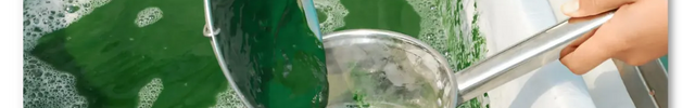 Spirulina harvesting with filter cloth and jar SK&S Farming