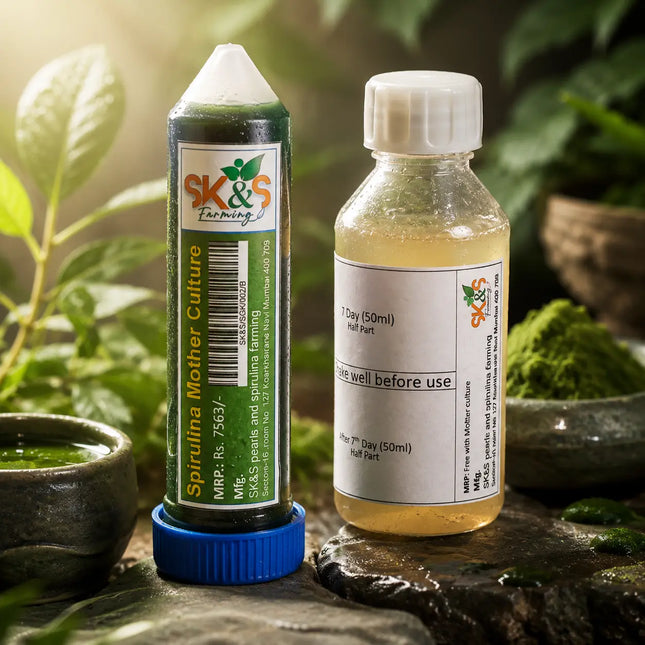 SK&S Farming Spirulina Mother Culture and full part nutrient solution displayed. 