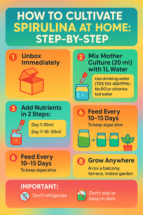 SK&S Farming – Step-by-Step Spirulina Cultivation Guide with Growing Kit
