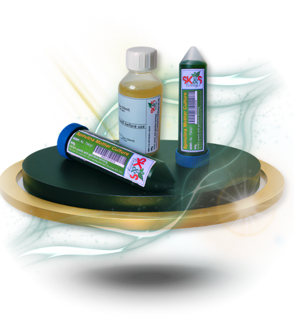 Spirulina mother culture kit for start spirulina farming SK&S Farming