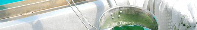 Spirulina Harvesting process