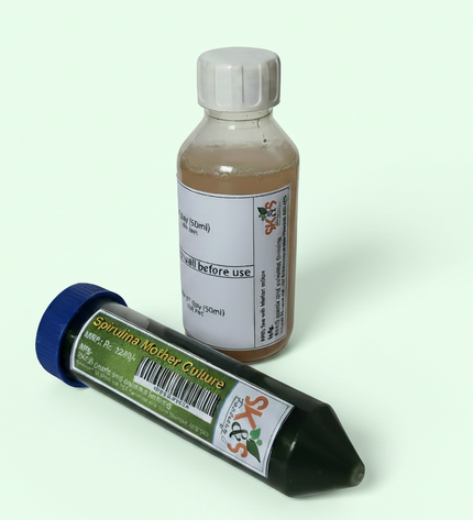 Spirulina Mother Culture Kit – Live Blue-Green Algae (200ml) | Grow Your Own Spirulina at Home - SK&S Farming