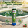 SK&S Farming Spirulina Mother Culture seeds with explaining spirulina growing process.