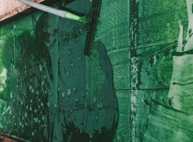 Spirulina slurry removing from tank