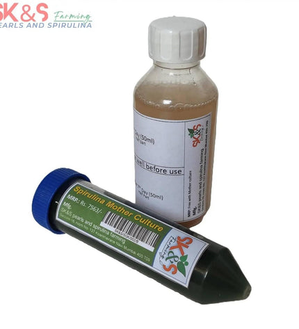 Spirulina Mother Culture Kit – Live Spirulina Algae Seeds for Farming (200ml, 15 Days Support) - SK&S Farming