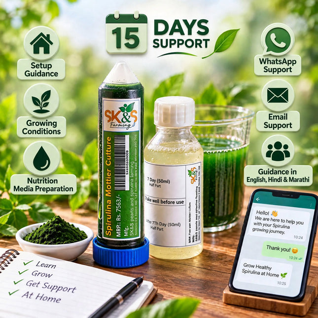 Spirulina Mother Culture – Spirulina Farming Seeds _ 15 Days Support
