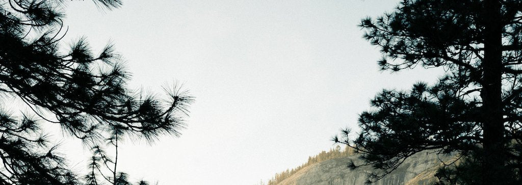 <h2>Revitalize Your Skin with Organic Spirulina Face Pack.</h2>