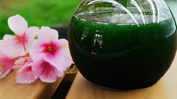 Spirulina culture for farming