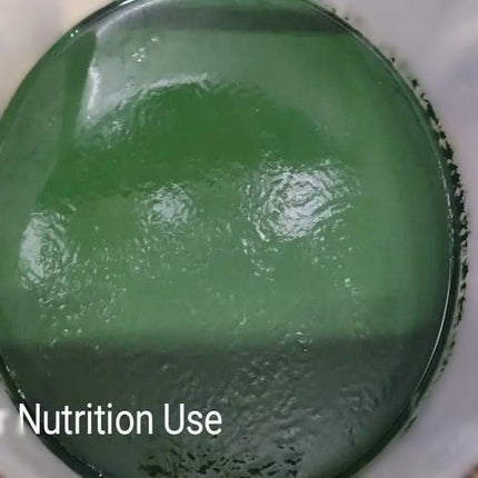 Spirulina Fertilizer – Growing Nutrition for Algae Cultivation - SK&S Farming